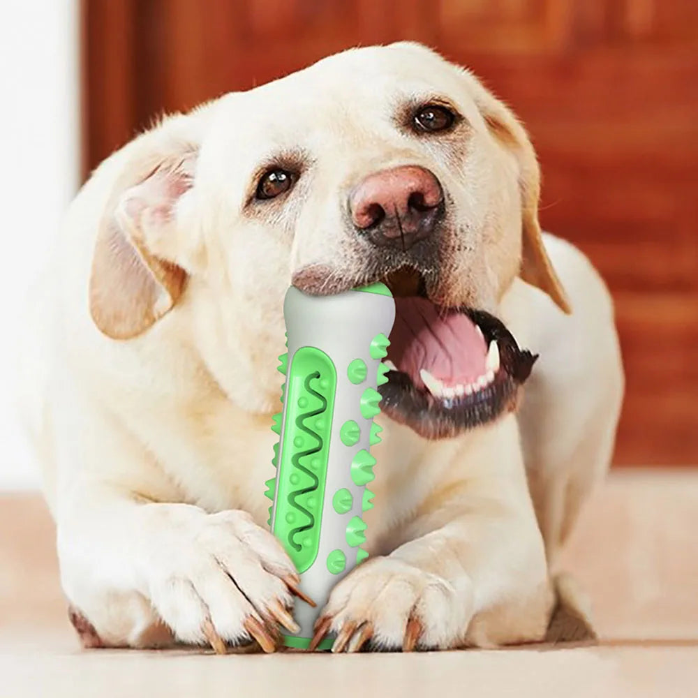 Jouet pour chien à mâcher en TPR – Nettoie les dents, masse les gencives et favorise une haleine fraîche naturellement