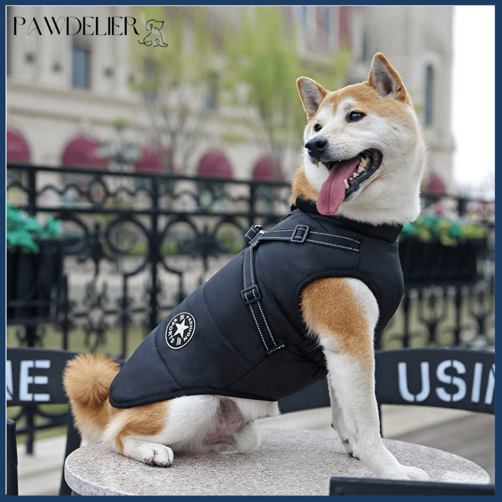 Veste D'hiver Pour Chien Pawdelier™